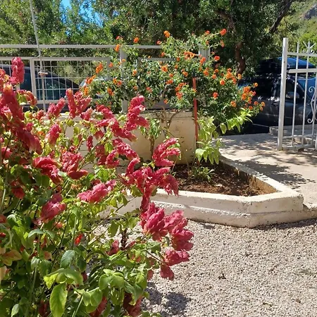 Pensjonat Garden