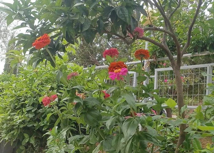 Garden Гостевой дом 4*