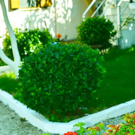 Garden Guest house