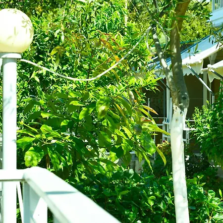 Guest house Garden *