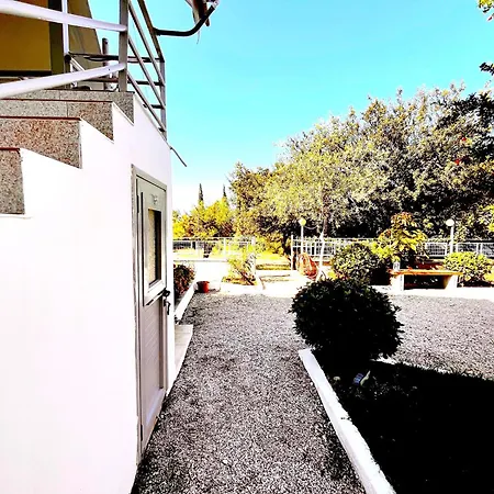 Garden *