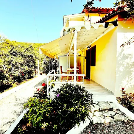Guest house Garden *
