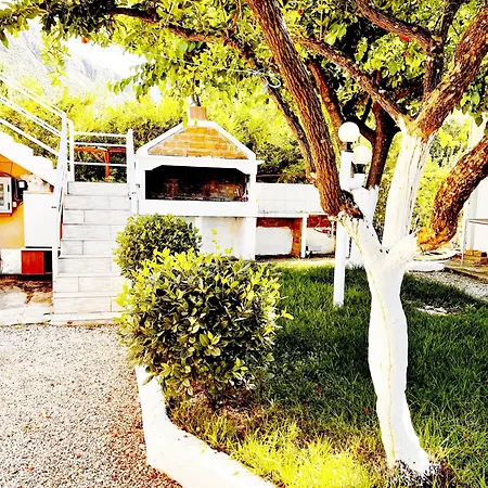 Guest house Garden