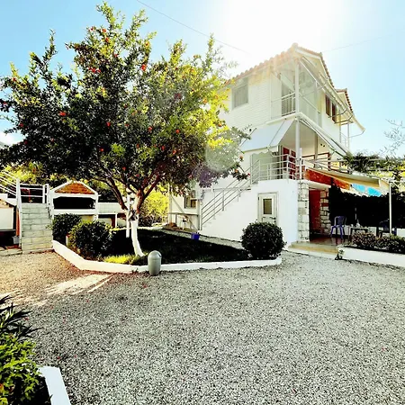Guest house Garden *