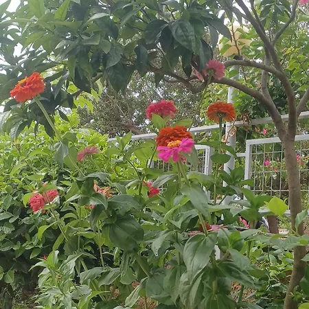 Garden Guest house *