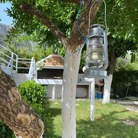 Garden Guest house *