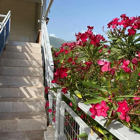 Vendégház Garden 4*