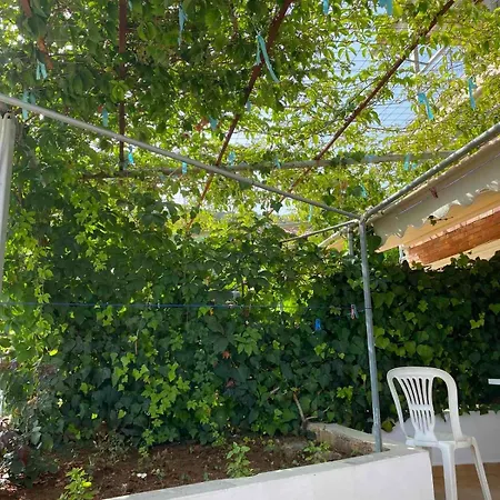 Garden *