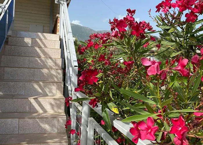 Guest house Garden 4*