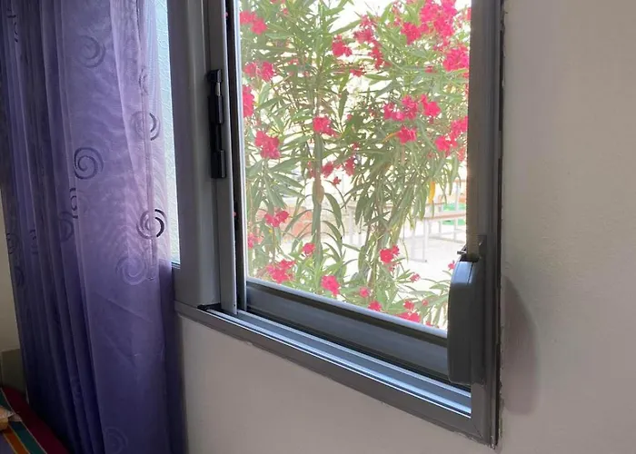 Garden Guest house