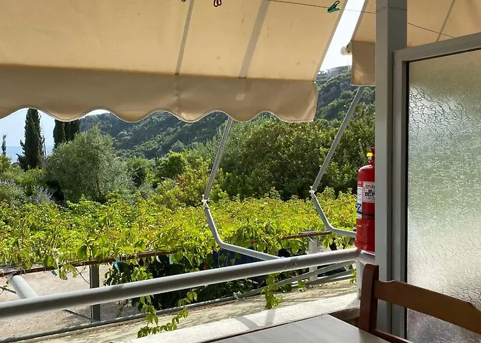 Garden Guest house