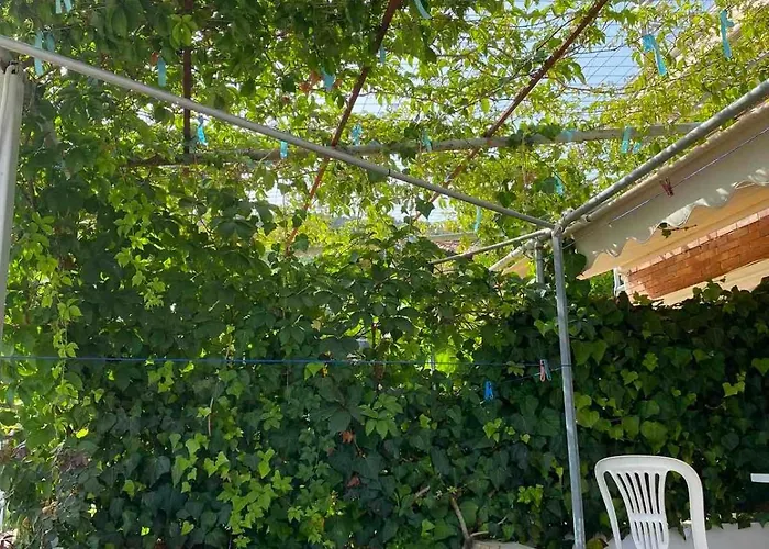 Garden 4*